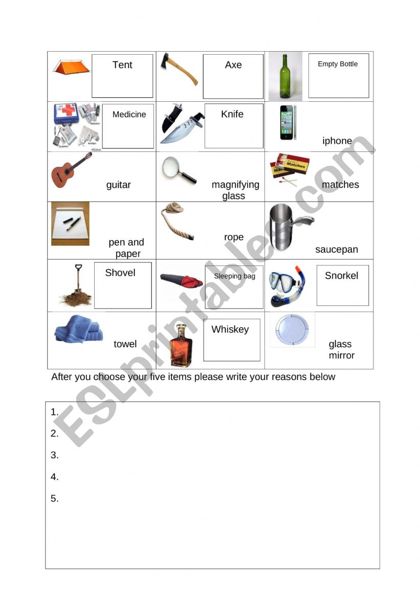 Desert Island Worksheet worksheet