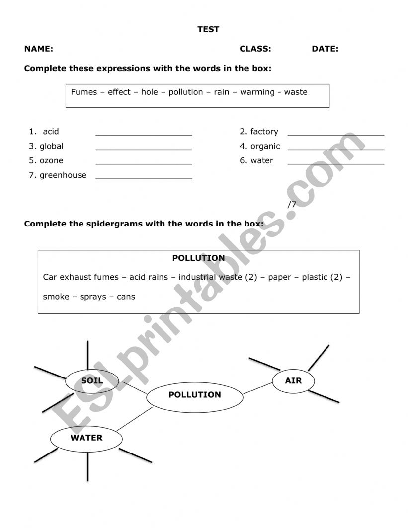 environment test worksheet