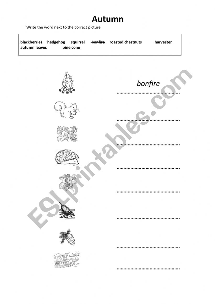 Autumn Vocabulary worksheet
