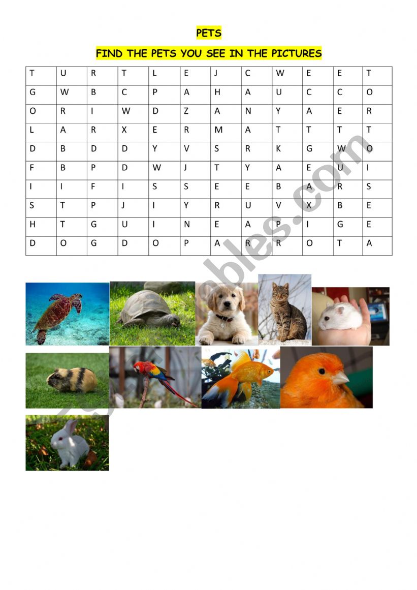 PETS - WORDSEARCH worksheet