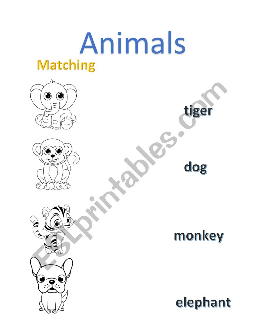 Animals worksheet