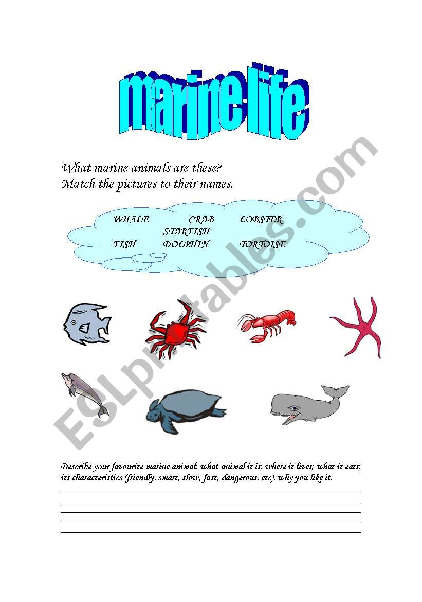 Marine Animals worksheet