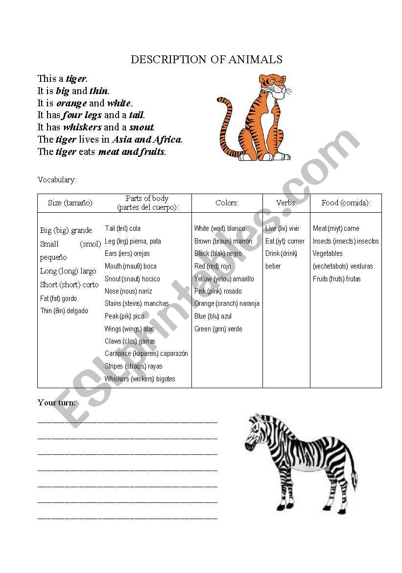 making descriptions worksheet