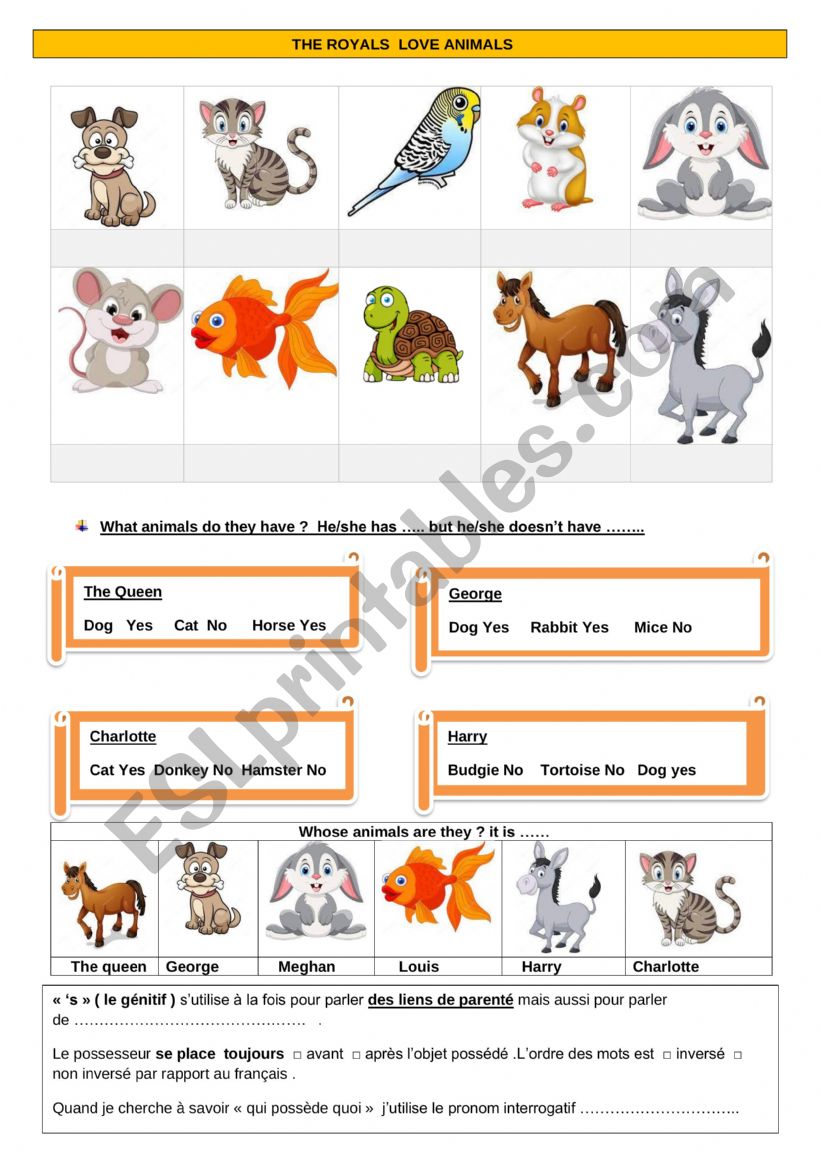 What animals do they have ? worksheet