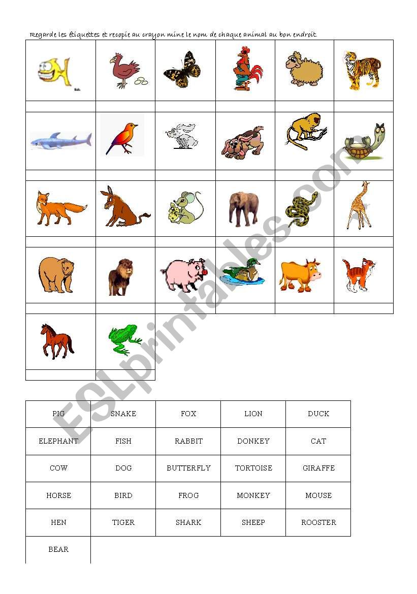 animals worksheet