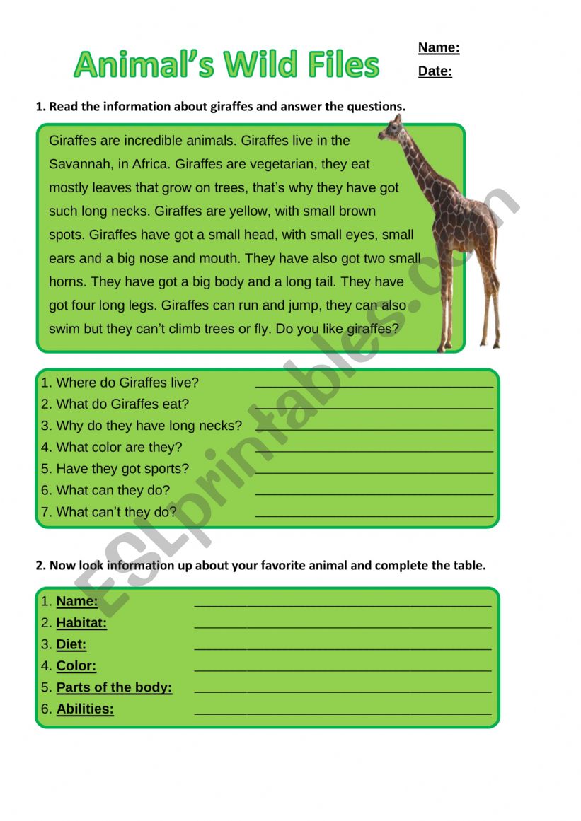 kkkk worksheet