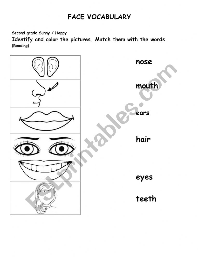 body parts worksheet