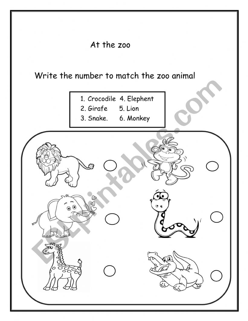  at the zoo worksheet