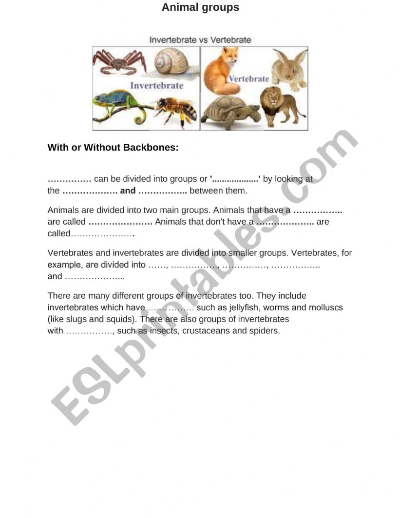 Vertebrtaes vs invertebrates worksheet