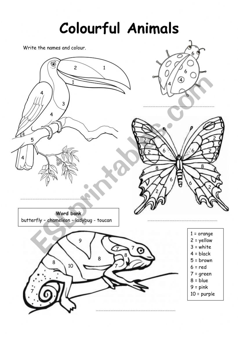 numbers worksheet