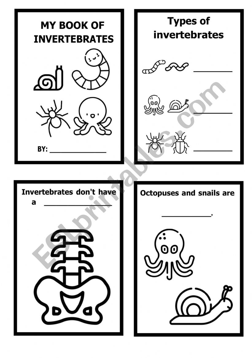Invertebrates Lapbook worksheet