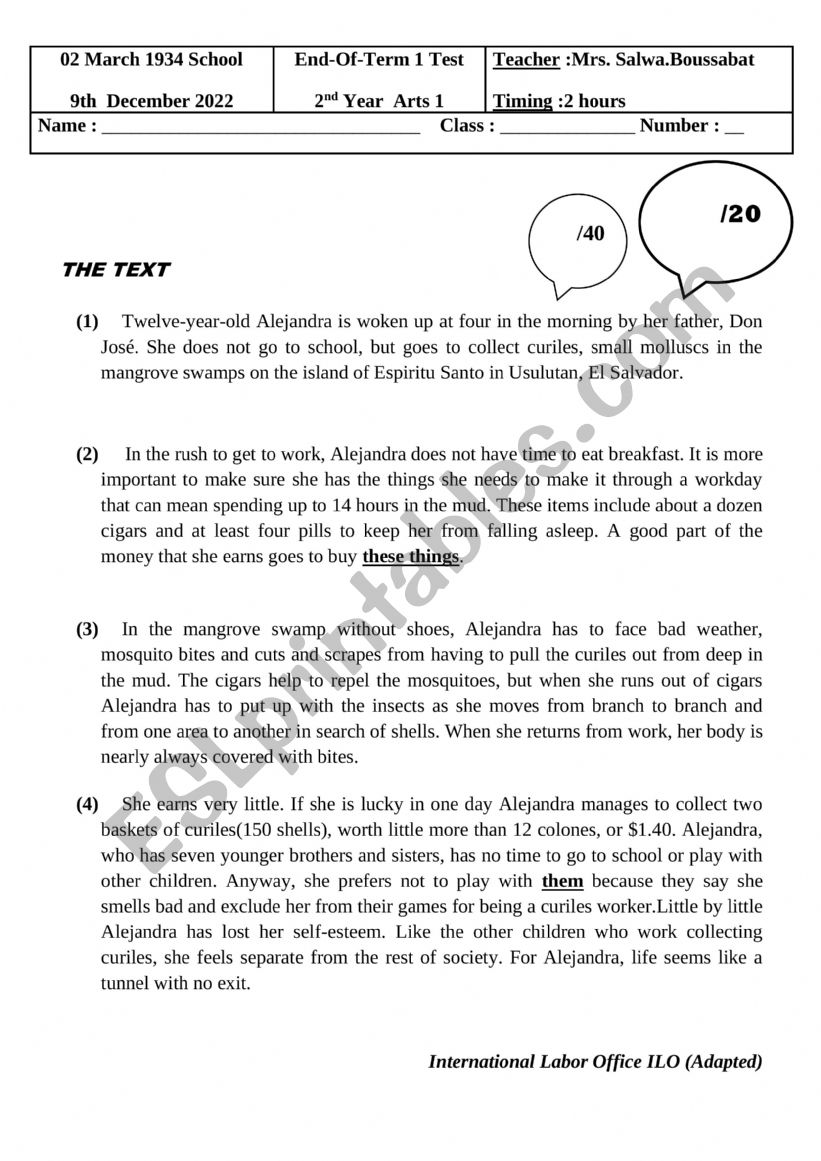 2nd year end of term 1 test  worksheet