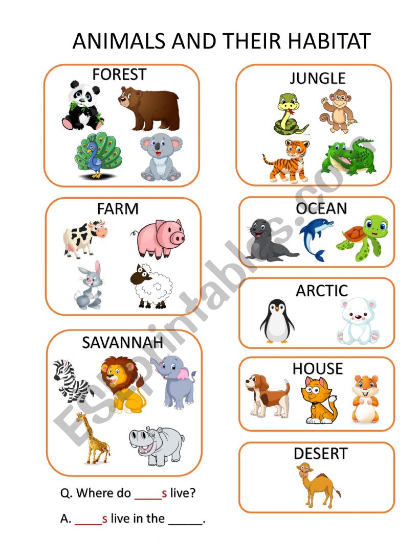 Animals and Their Habitats worksheet