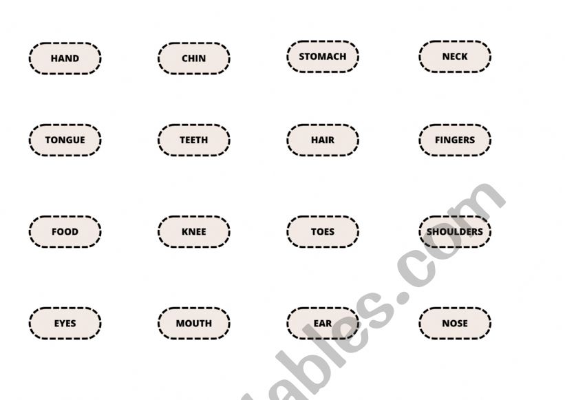 body parts match worksheet