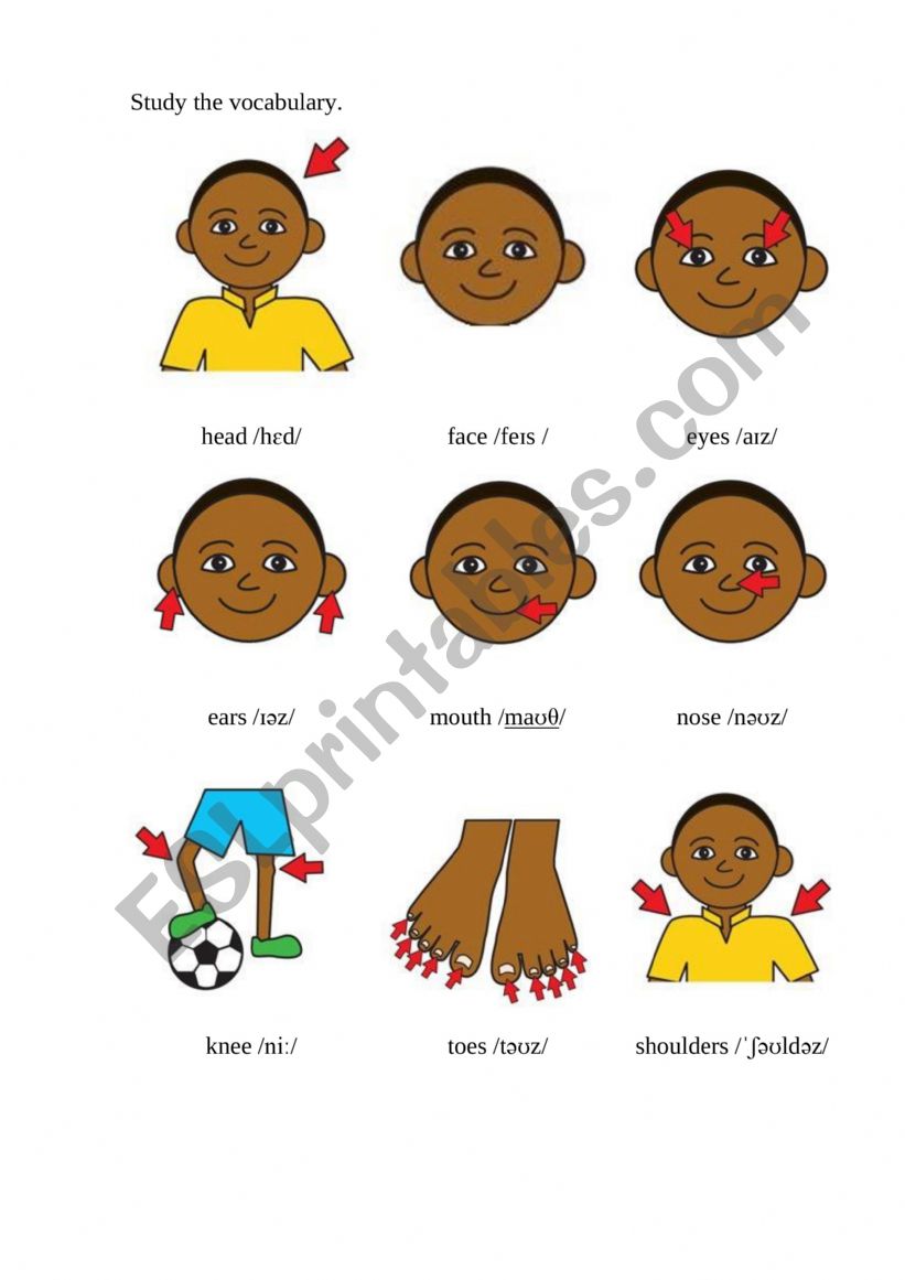 Body parts worksheet