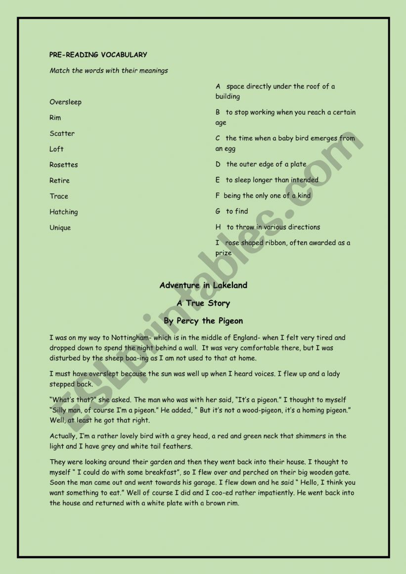 Percy the Pigeon  worksheet