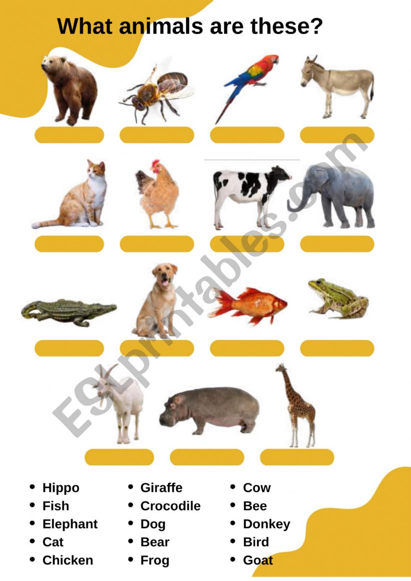 What animals are these? worksheet