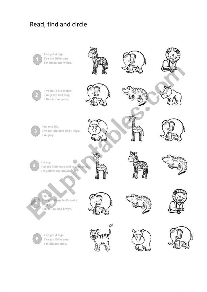 wild animals worksheet