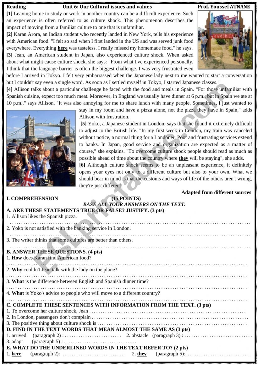Reading culture worksheet