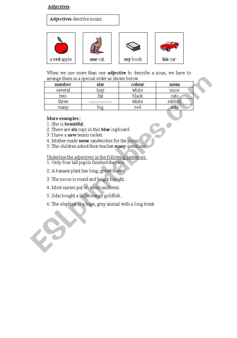 Adjectives worksheet