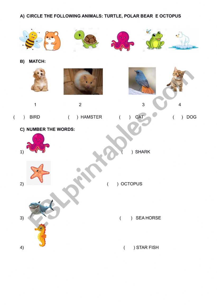 Animals and Sea Animals worksheet