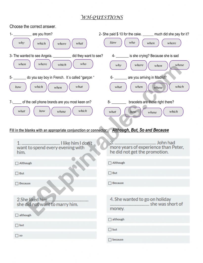 wh questions  worksheet