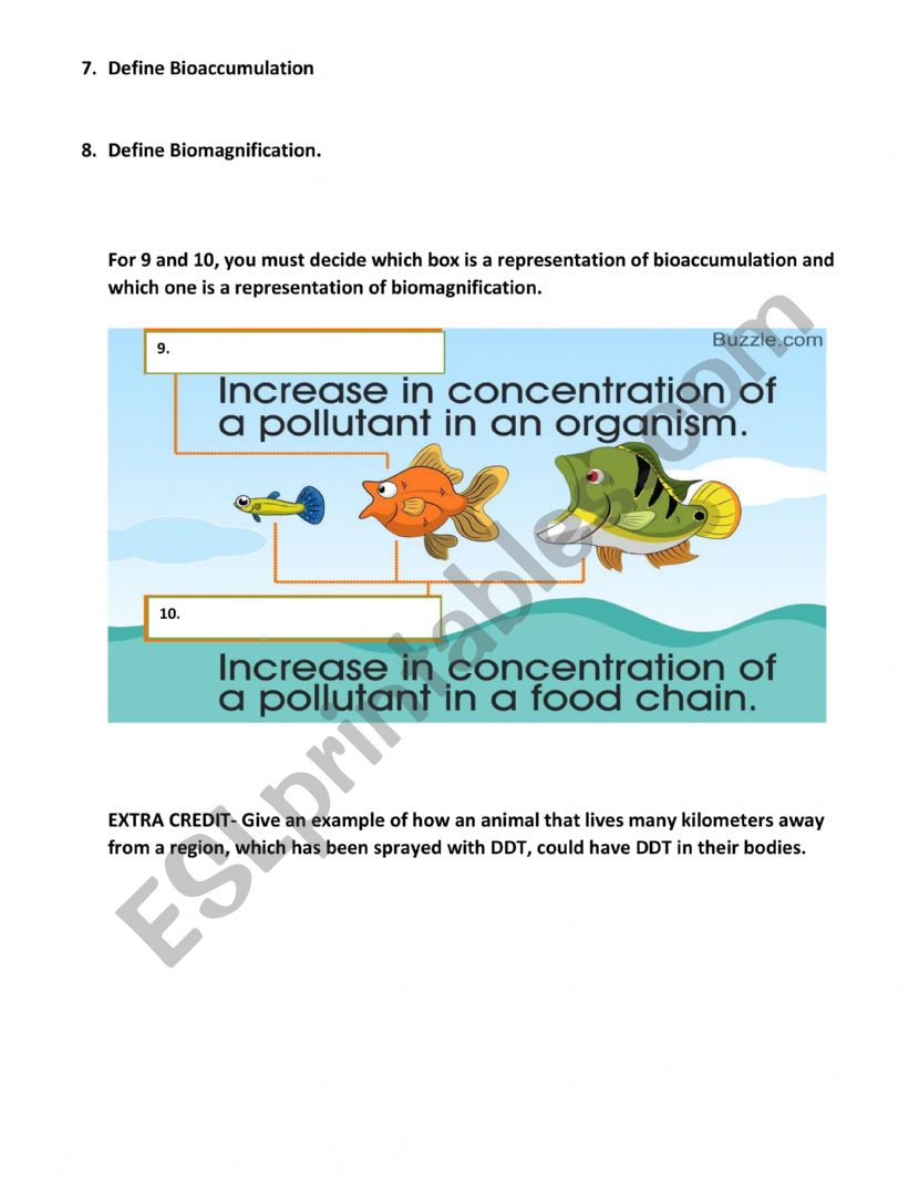 Biomagnification Worksheet