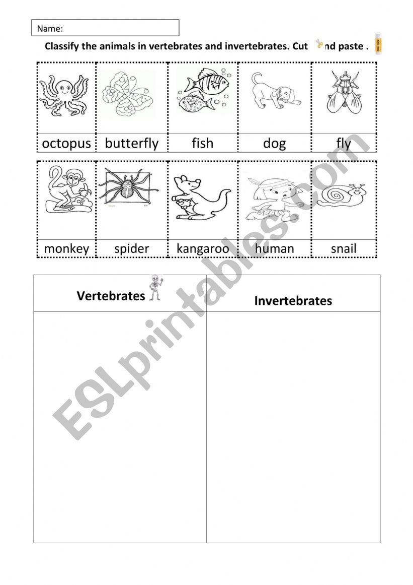 Classify into vertebrates or invertebrates. Cut and paste.