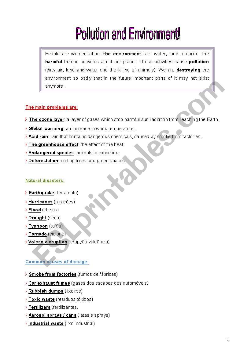 Pollution and Environment worksheet