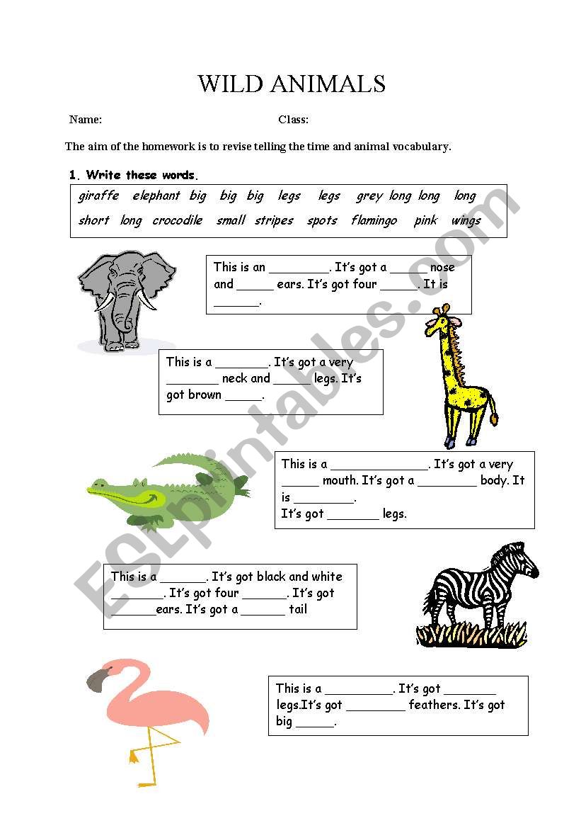 WILD ANIMALS worksheet