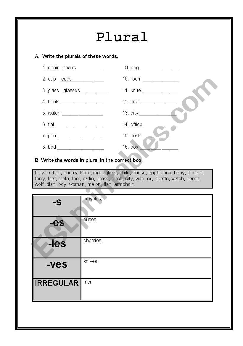 irregular plurals worksheet