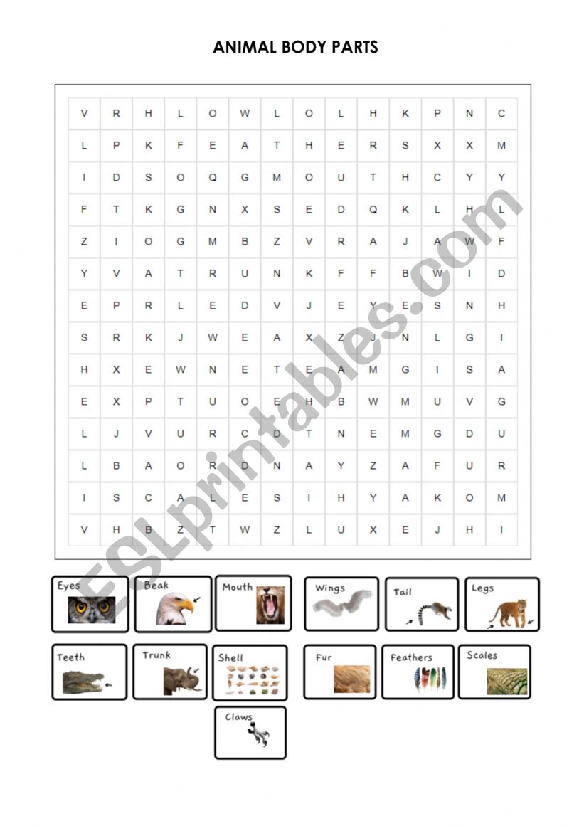 ANIMAL BODY PARTS WORDSEARCH worksheet