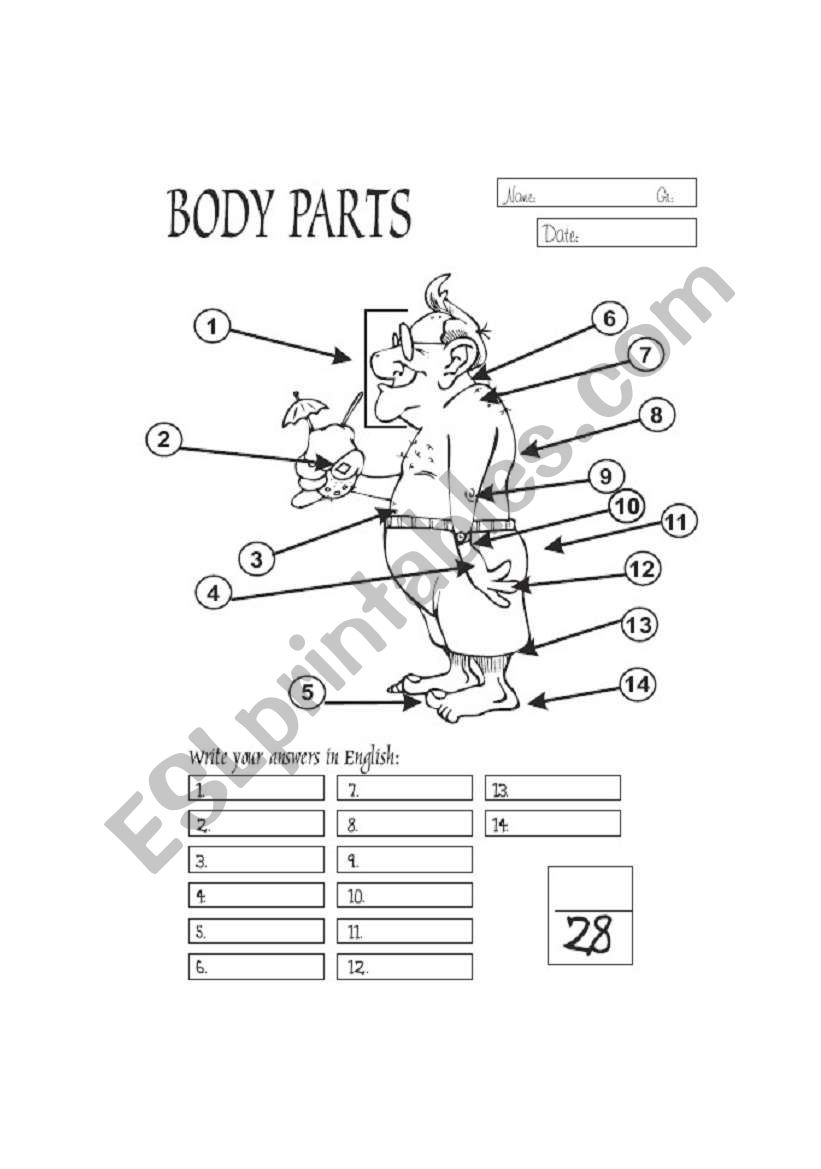 Body Parts worksheet