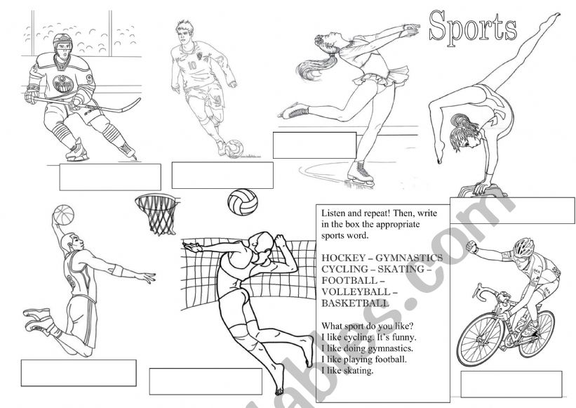 Sports worksheet