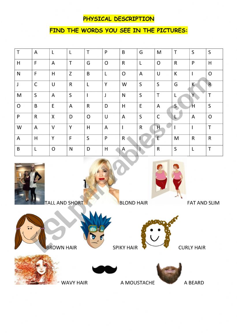 PHYSICAL DESCRIPTION WORDSEARCH + KEY