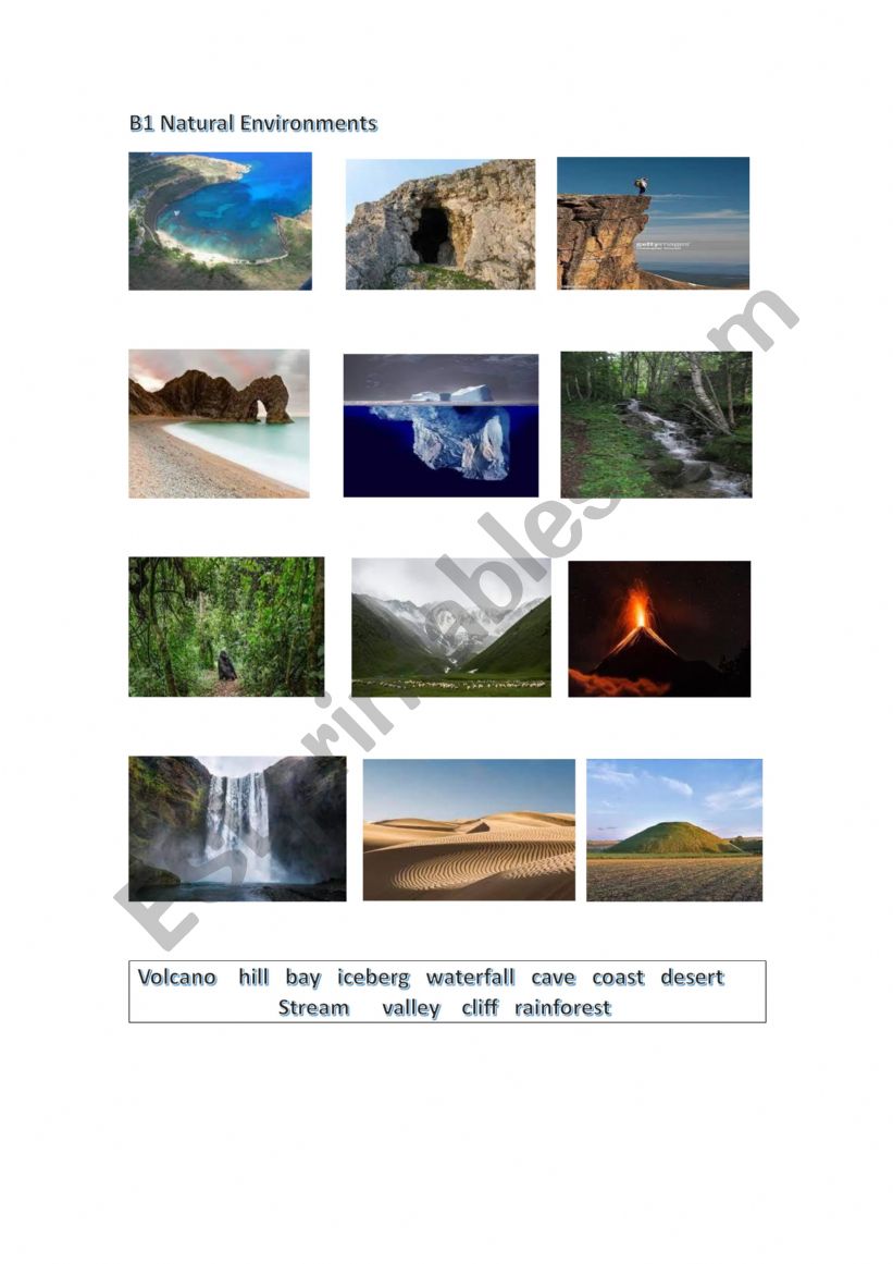 Natural Environments worksheet