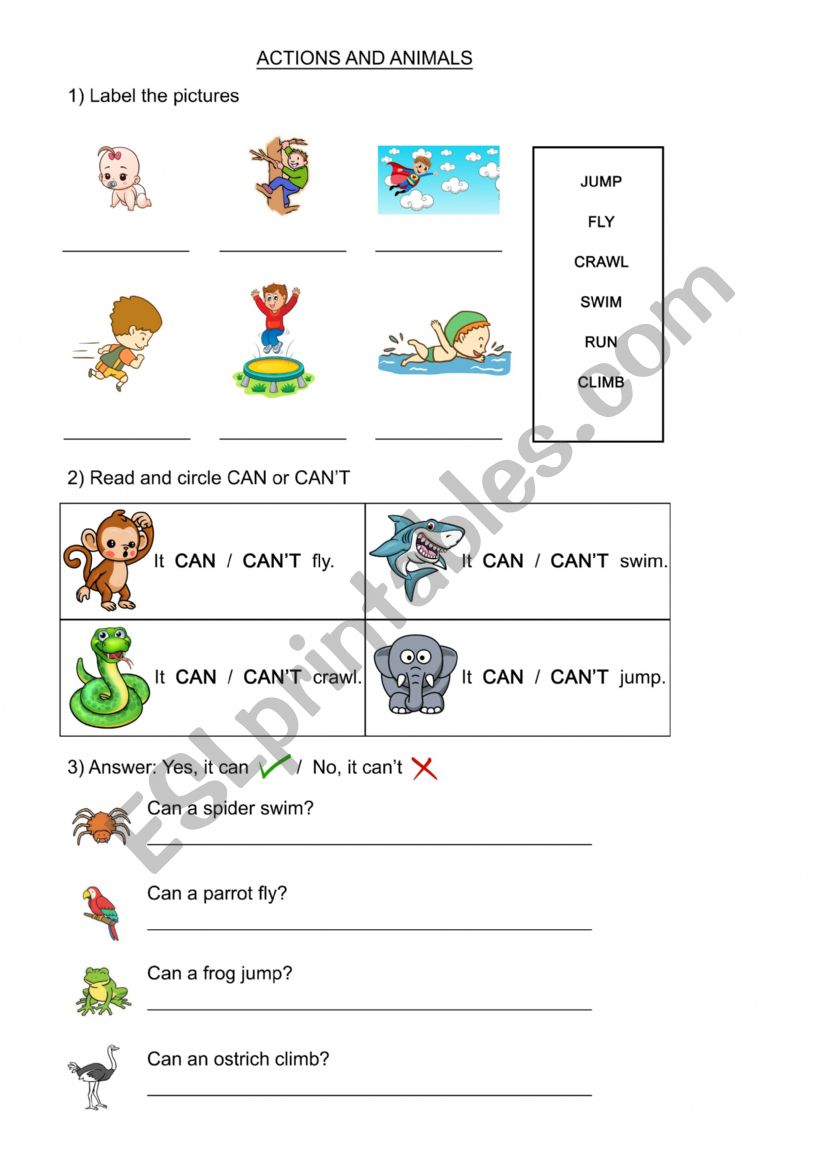 ANIMAL ACTIONS - CAN AND CANT - ESL worksheet by aileribel