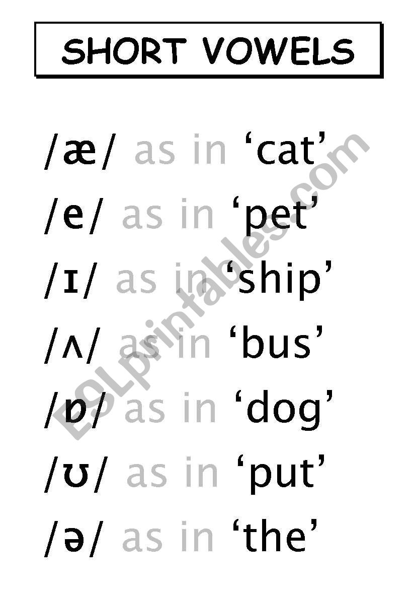 Phonetics: Short vowels worksheet