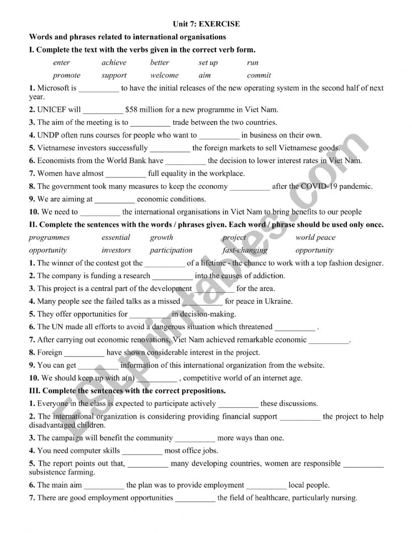 INTERNATIONAL ORGANIZATIONS  worksheet