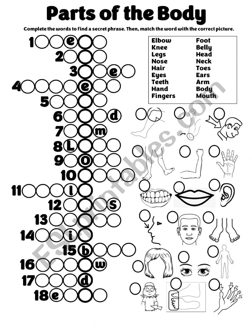 PARTS OF THE BODY worksheet