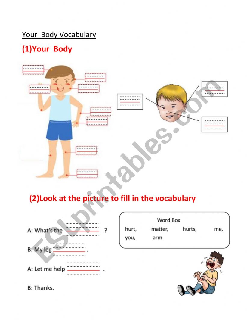 Body Vocabulary worksheet
