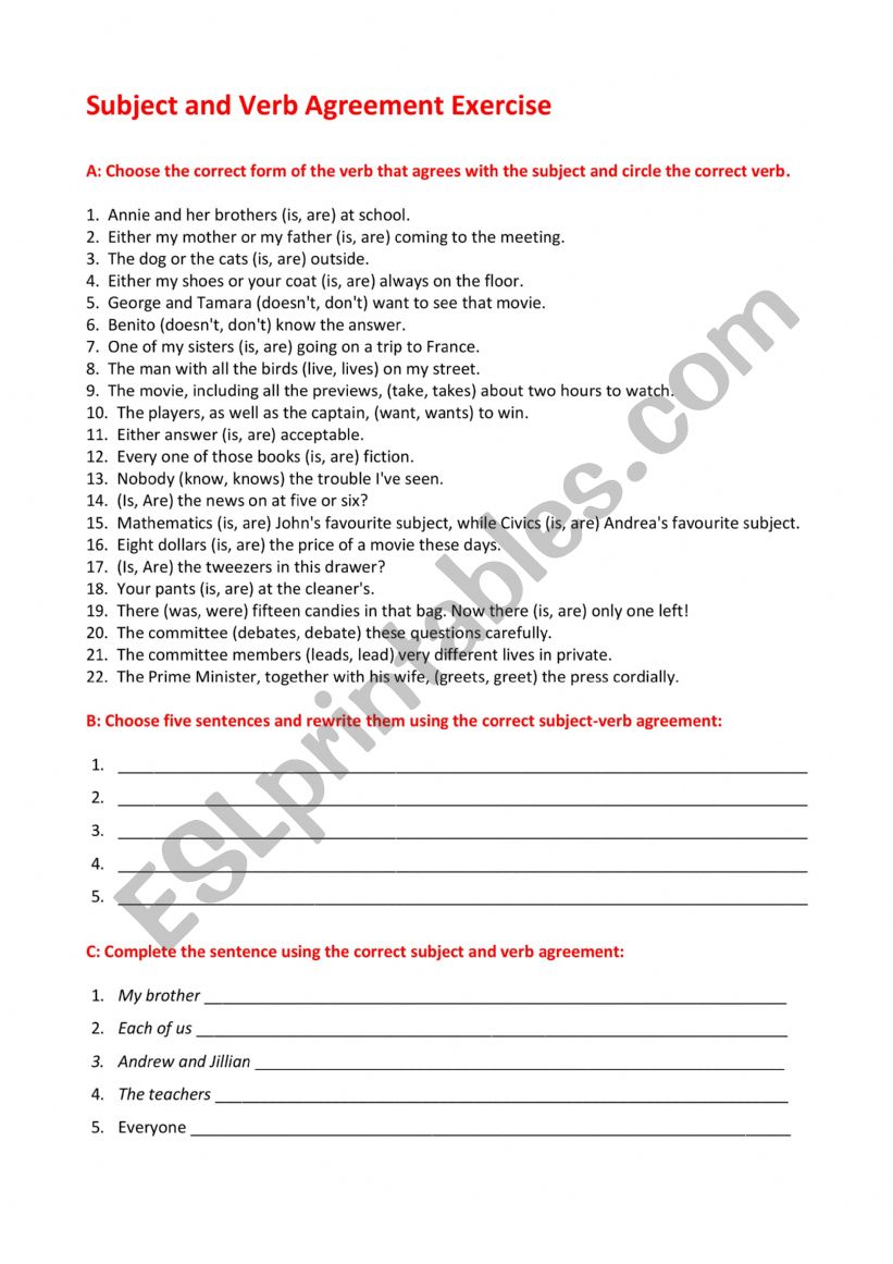 Subject and Verb Agreement worksheet