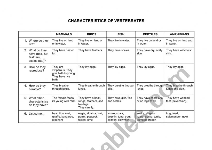 Characteristics of vertebrates