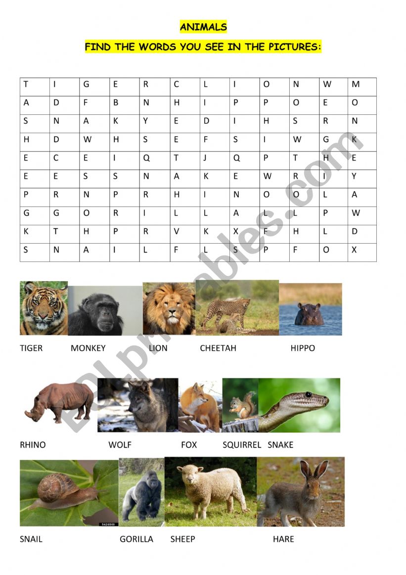 WORDSEARCH: ANIMALS worksheet