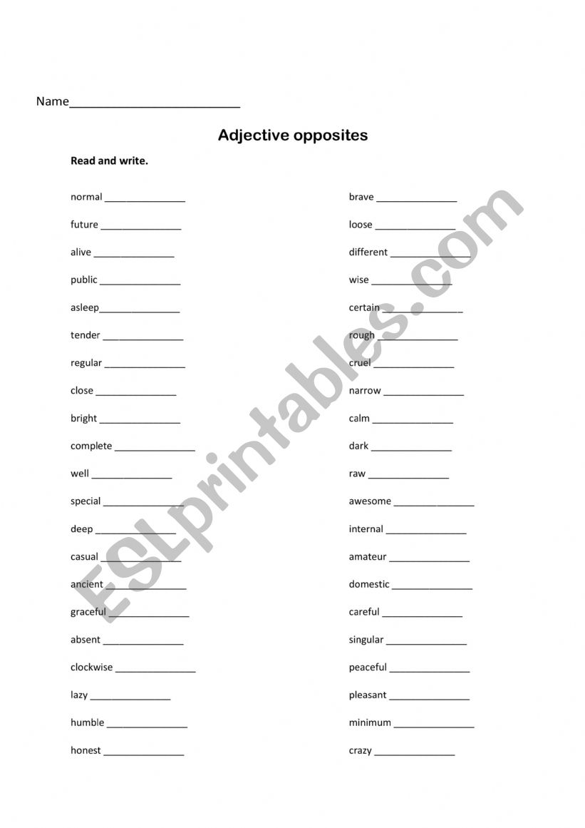 Adjective opposites worksheet