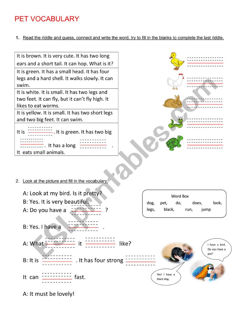 Pet Vocabulary worksheet