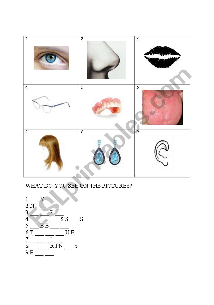 My face worksheet