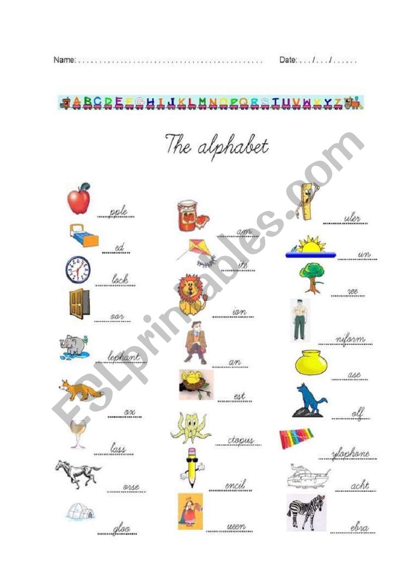 The alphabet worksheet