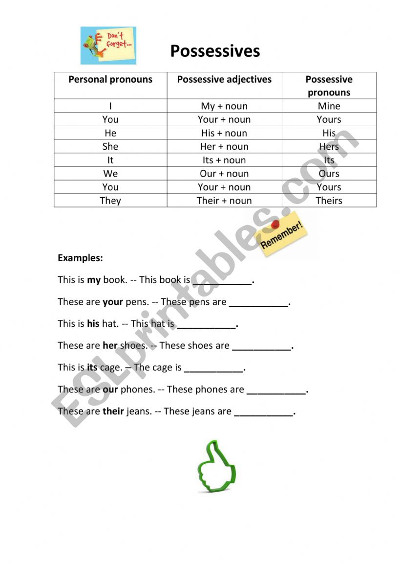 Possessive adjectives and pronouns 