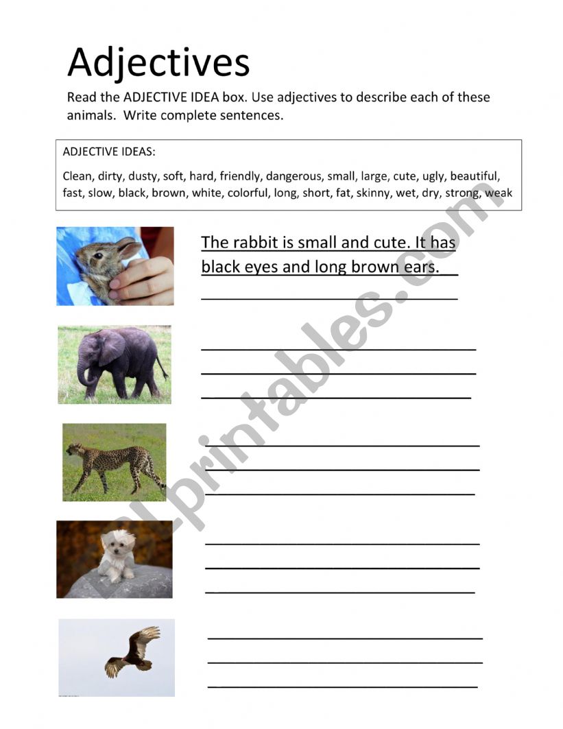 Adjective Descriptions worksheet